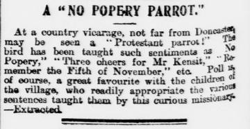 no popery parrot